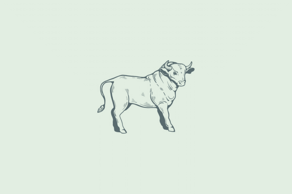 Ilustração em traço de um touro de perfil, de pé, com a cabeça virada para a frente, representando o signo de Touro, sobre fundo verde-claro.