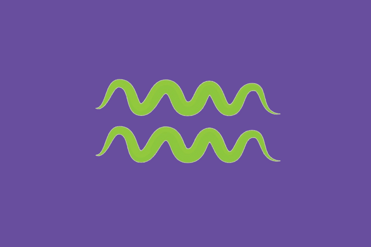 O símbolo astrológico do signo de Aquário em verde-claro sobre um fundo roxo